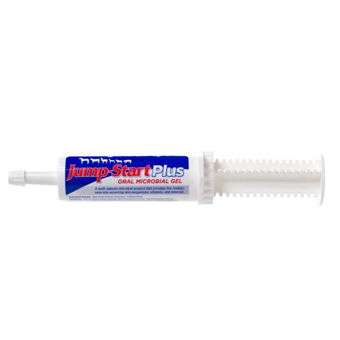 Jump Start Plus Oral Microbial Gel [60 gram]