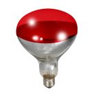 Little Giant Red Bulb for Brooder Lamp (250 Watt)