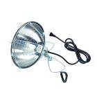 Little Giant Brooder Reflector Lamp 170017 (10.5", 6' cord)