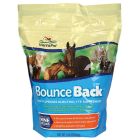 Bounce Back [4 lb.]