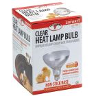 Bulb Brood Clear 250W R40