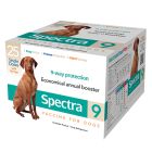 Canine Spectra 9 (1 ds)