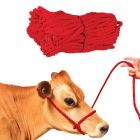 Cow Poly Halter [Red]
