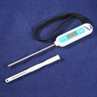 9" Digital Thermometer
