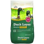 Duck Layer Pellets [8 lb]