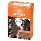 Lifeline Intervene Electrolyte 45 GM 10 Count