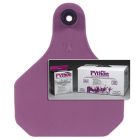 Python Purple Insecticide Ear Tags (20 Count)