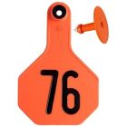 Y-Tex 7702076 Medium Three Star Numbered Female Ear Tag and Male Button [Orange] (76-100) (25 ct)