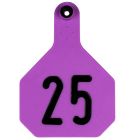 Y-TEX 3-Star Ear Tag & Button [Purple] (1-25)
