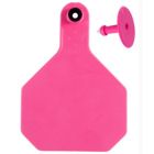 Y-TEX 4-Star Ear Tag & Button [Pink] (25 Count)