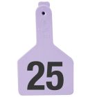 Z-Tag Calf Numbered Long Neck One Piece No Snag Ear Tag [Purple] (51-75) (25 ct)