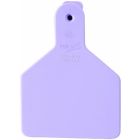 Z-Tag Calf Shortneck Blank (Purple) [25 ct]