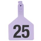 Z-Tag Cow 26-50 (Purple) [25 ct]