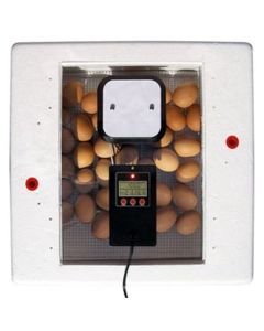 Digital Still Air Incubator 2150