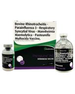 Huvepharma PrimeLine IN5 Cattle Vaccine [20ml] (10 Dose)