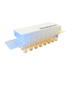 Mastatest Test Cartridge USP2 [10ct]