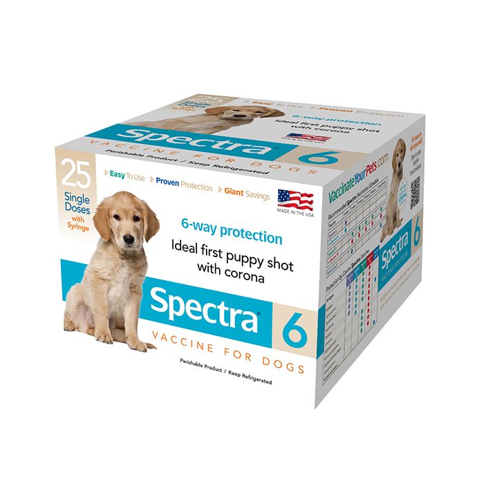 best dog oral care treats