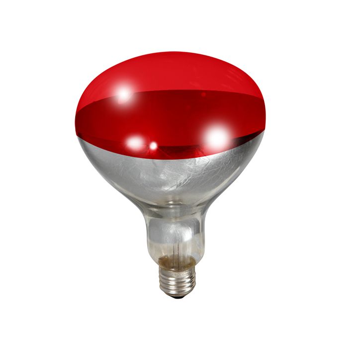 Little Giant Red Bulb for Brooder Lamp 250 Watt