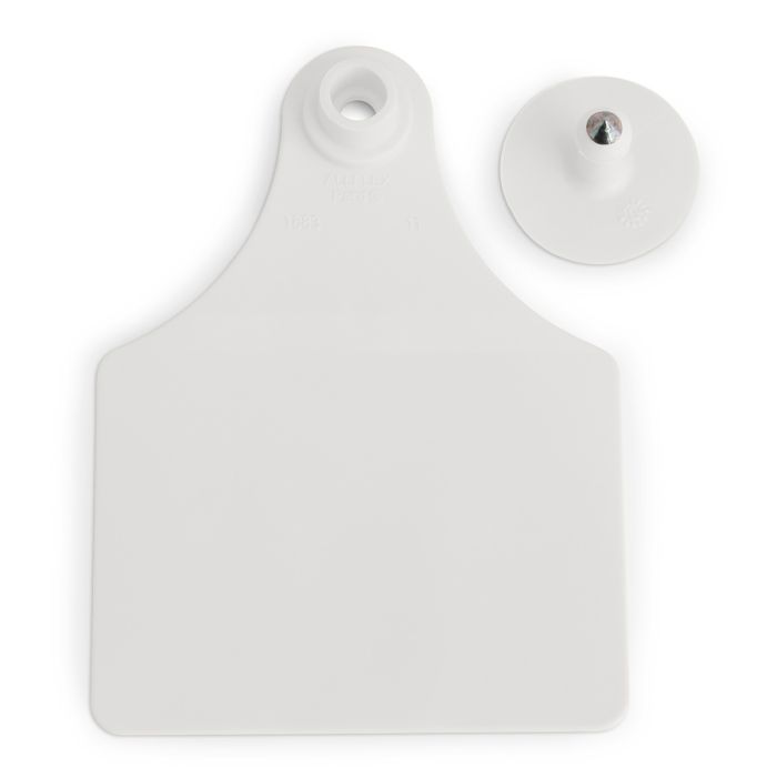 Jot White String Tags, 60-ct.