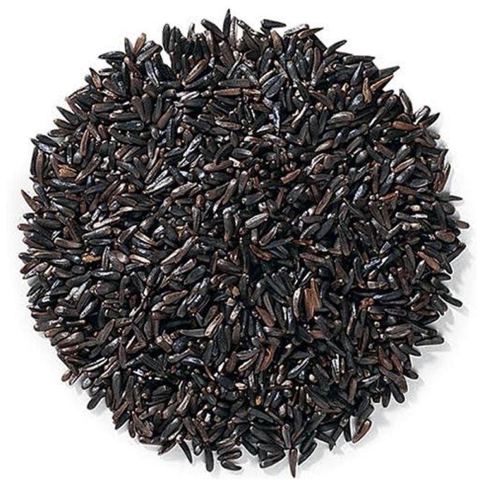 Thistle bird seed new arrivals