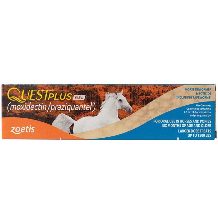 Gel quest shop