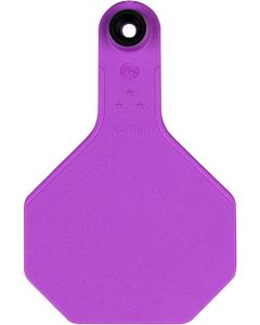 Y-Tex Ear Tags Blank (Purple)