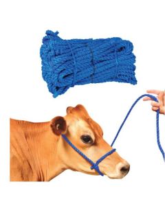 Cow Poly Halter [Blue]