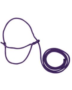 Cow Poly Halter [Purple]