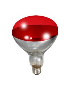 Little Giant Red Bulb for Brooder Lamp (250 Watt)