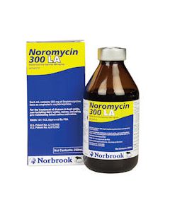 Noromycin 300 LA Injectable
