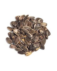 Striped Sunflower Seed.