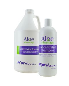 Aloe Advantage Concentrated Shampoo 10X Formula