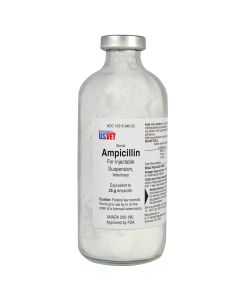 Ampicillin Injectable [25 gm]