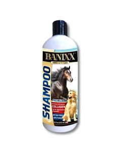 Banixx® Medicated Pet Shampoo [16 oz]