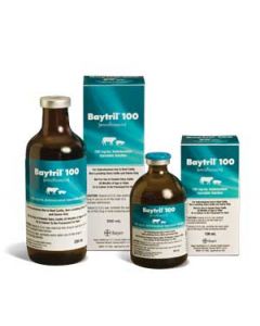 Baytril 100 - Rx 500 mL