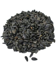Black Oil Sunflower Seed [50 lb]
