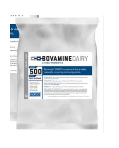 Bovamine Dairy Milk Replacer + CHMSP [500 GM]