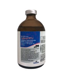 Cefenel RTU 500MG [100 mL]