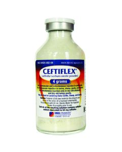 Ceftiflex [4 gm]