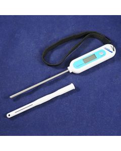 9" Digital Thermometer