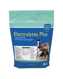 Electrolyte Plus Multi Species Supplement [6 lb]