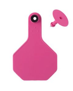 Y-TEX 3-Star Ear Tag & Button [Pink] (25 Count)