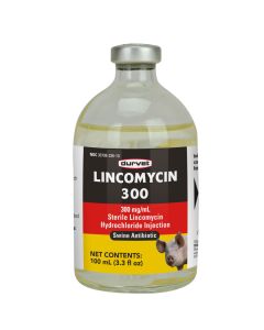 Linco-Ject 300 [100 mL]