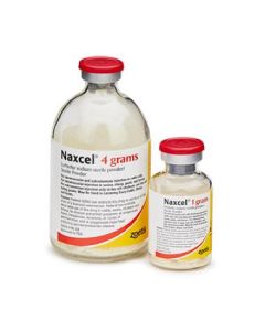 Zoetis Naxcel Ceftiofur Sodium Sterile Powder