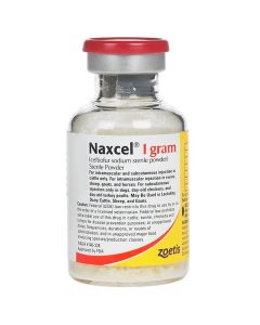 Naxcel - Rx 1 GM