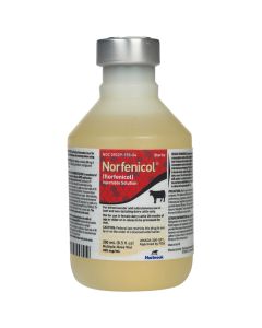 Norbrook Labs Norfenicol Solution for Beef & Non-Lactating Dairy Cattle