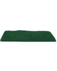 Nylon Scour Pad [Green] (2 Count)