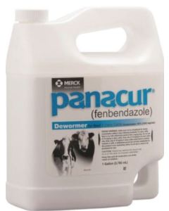 Panacur Suspension Horse Dewormer (1 Gallon)