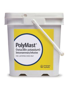 PolyMast (144 Count)