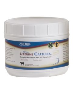 Royal Uterine Capsules [20 gm] (20 Count)